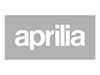Aprilia RSV 1000