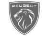 Peugeot 2.0 BlueHDi, Bus, 9Mst, Klima