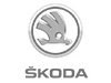 koda 1.6 TDI, DSG, R, Style